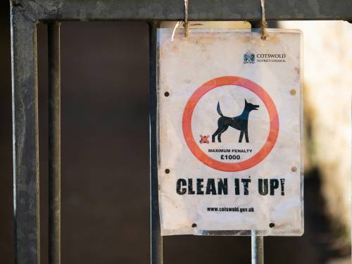 Bolzano dichiara guerra alle deiezioni: test del dna ai cani e maxi multe ai padroni