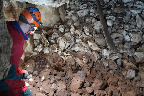 Foibe, gli orrori della storia nelle grotte slovene