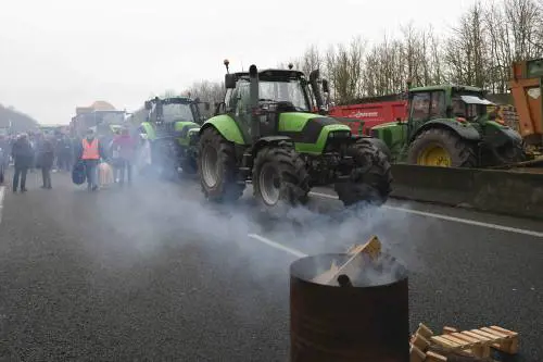 Le politiche dell'Unione? La Lombardia farà "strage" di mucche e maiali