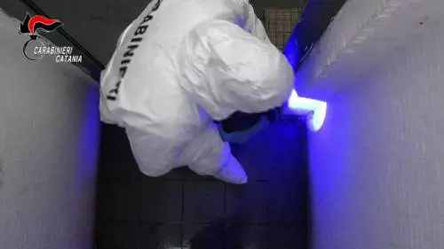 "Lì per caso, io non c'entro". Tre del branco già in carcere