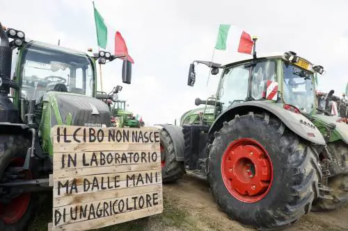 Perché siamo tutti contadini