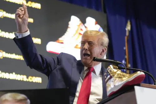 A ognuno la sua scarpa