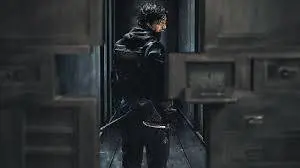 Ninja, triadi cinesi e samurai ribelli. Le serie picchiano a colpi di kung fu