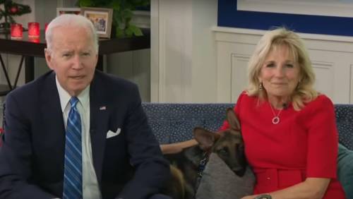 Il cane di Biden è pericoloso? Documentate 24 aggressioni ai danni del personale della Casa Bianca