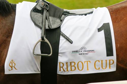 Saudi Cup e Ribot Cup, il top mondiale e la speranza per il futuro