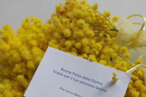 Gli auguri di Pier Silvio Berlusconi alle dipendenti per la festa della donna