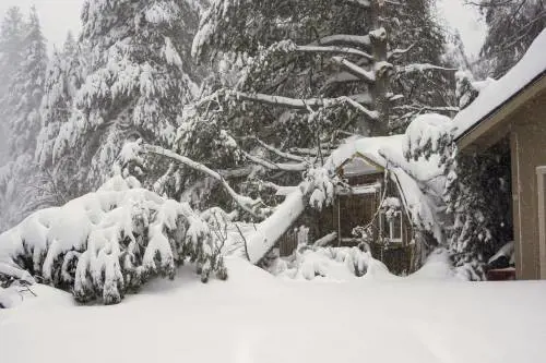 Meteo, primavera in pausa: torna la neve. Ecco le zone più colpite