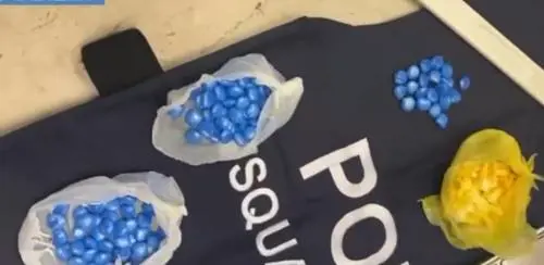 I pusher con lo stipendio da 2500 euro al mese: la rete della droga a Bologna 