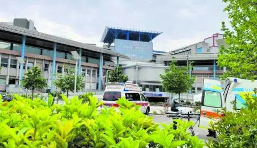 In stato vegetativo per il formaggio. A giudizio pediatra che non lo visitò