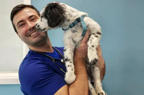 Addio a "DottorPet". Morto il veterinario più famoso del web