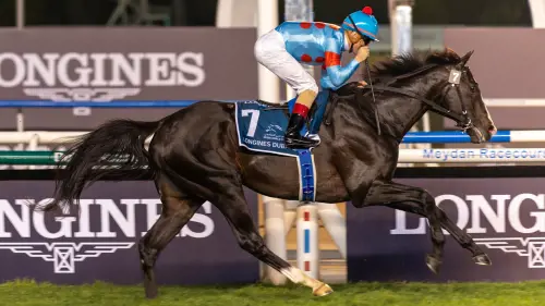 Equinox (fonte Japan Racing Association)