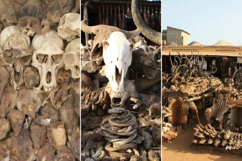 foto di Alexander Sarlay