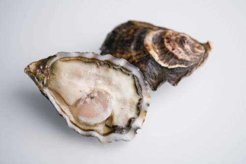 “Oyster Experience”, tutti i segreti delle ostriche
