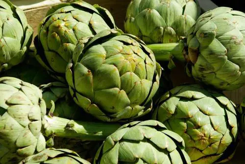Carciofi: perché fanno bene? 8 effetti detox per l'organismo