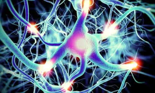 Riconoscere e valutare il dolore neuropatico. Una sfida medico-legale