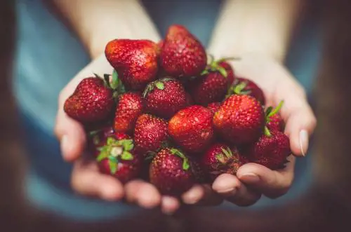 La "dieta" della primavera, che vince l'insonnia la stanchezza e l'irritabilità