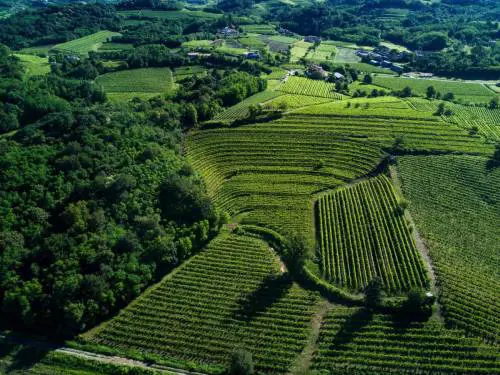 Il nostro Vinitaly 2024. I rossi/1