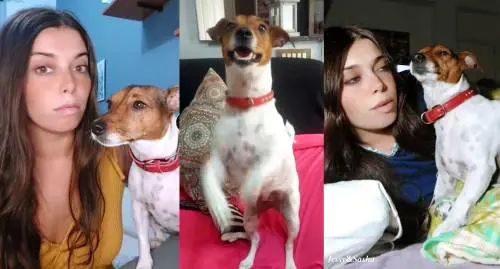 "Fallo al forno con le patate". Così Jessy&Sasha sono diventati fenomeni su TikTok