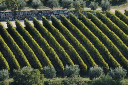 Il nostro Vinitaly 2024 - I rossi/2