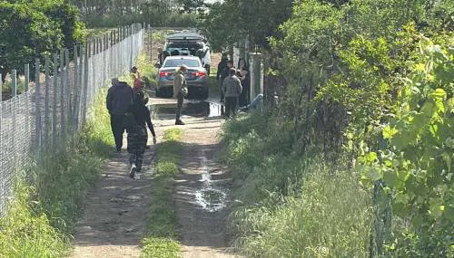 "Avevano già ucciso". Così i pitbull hanno sbranato Francesco Pio a Eboli