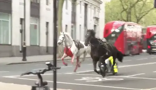 Far West a Londra con cavalli in fuga. Ci sono danni e feriti