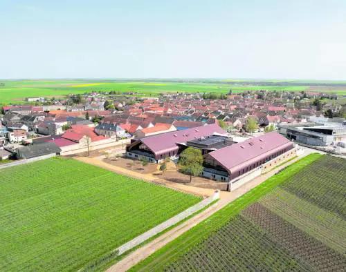 Viaggio nei segreti di Krug. Il sogno dello Champagne