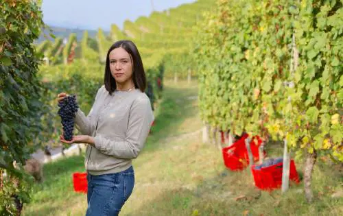 Pio Cesare, le Langhe multi-anima