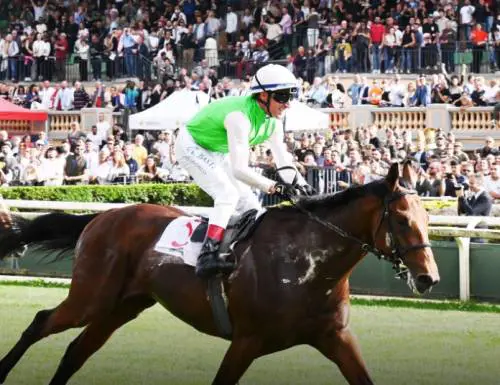 Borna il vincitore del 141° Derby Italiano
