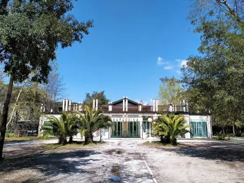 "Le canzoni? Meglio i cani". E Viareggio lasciò il Festival a Sanremo