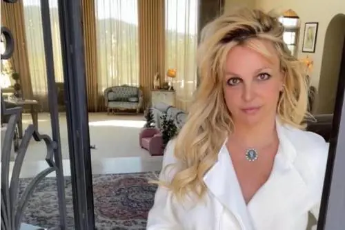 "Una collera che sfocia in violenza fisica". Britney Spears e il pericolo che faccia male a sé stessa o gli altri
