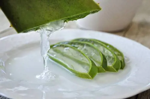 Bere succo di aloe vera, fa davvero dimagrire?
