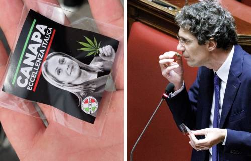 "È Made in Italy". In Parlamento la bustina di cannabis con la foto della Meloni
