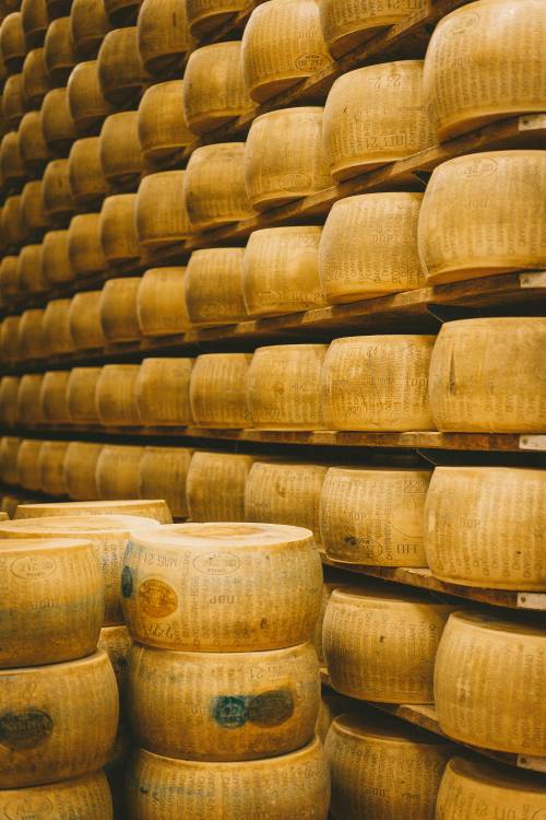 Il segreto algebrico della forma. La storia antica del parmigiano che ha conquistato il mondo