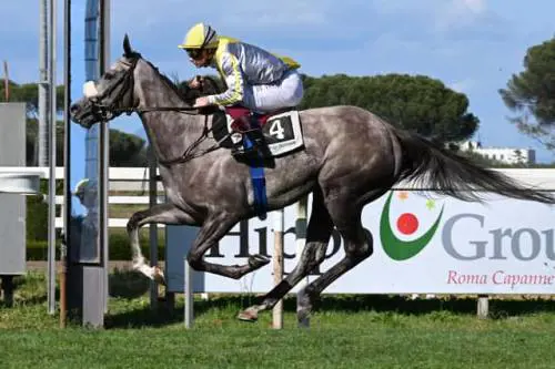 Gris celebre (fonte: ippodromo Capanelle)