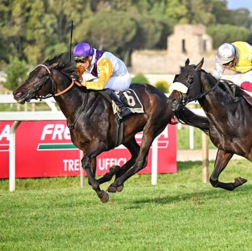 Sammarco vince a Roma (ippodromo capannelle)