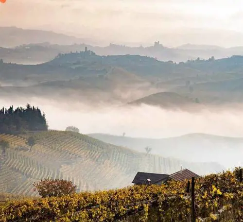 Giovanni Rosso, e poi c’è il Roero Arneis