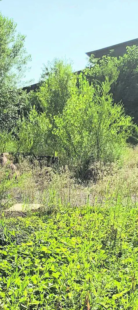 Se il parco è nemico dell'ambiente