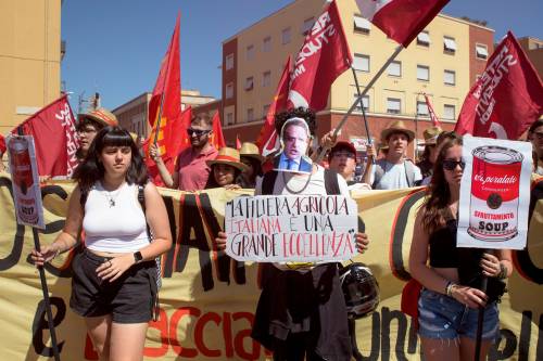 Prove di "accozzaglia" sui braccianti
