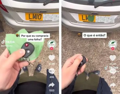 Autovelox, il trucco della foglia per evitare la multa: ecco cosa si rischia