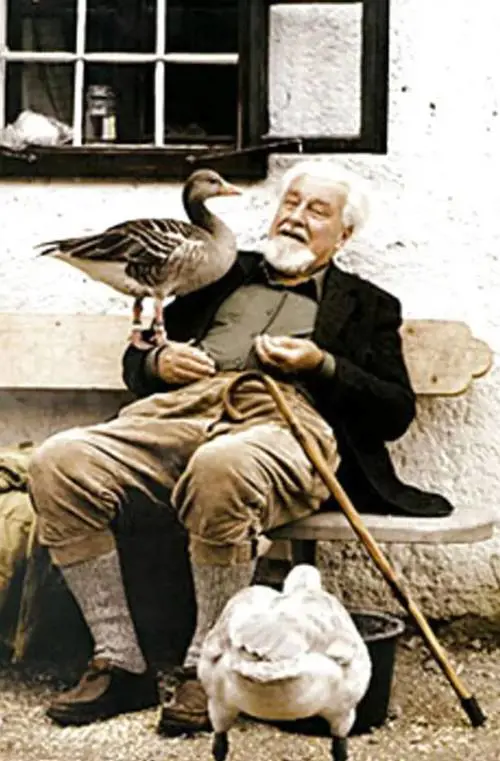 Lorenz, l'inimitabile (nel bene e nel male)