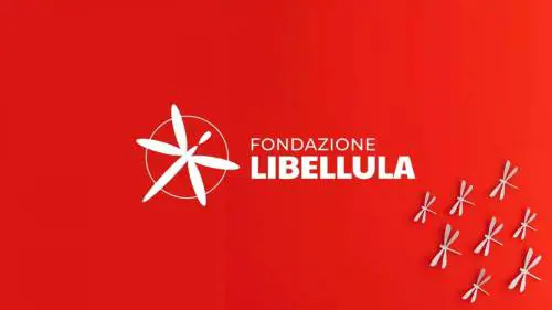 Stop violenza di genere, Sisal aderisce al network di Fondazione Libellula