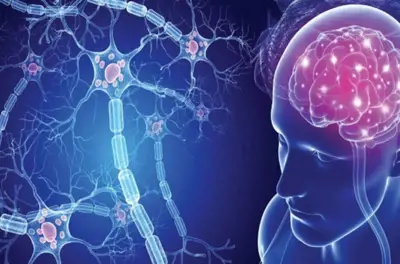 Sclerosi multipla, nuovo farmaco impiegato nelle terapie: come funziona la cladribina