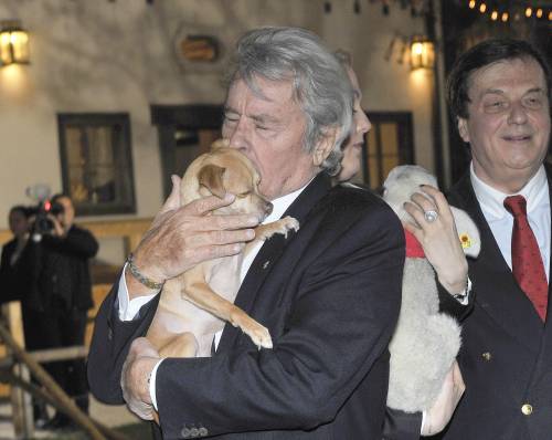 L'ultimo desiderio di Alain Delon: "Seppellitemi con i miei cani"