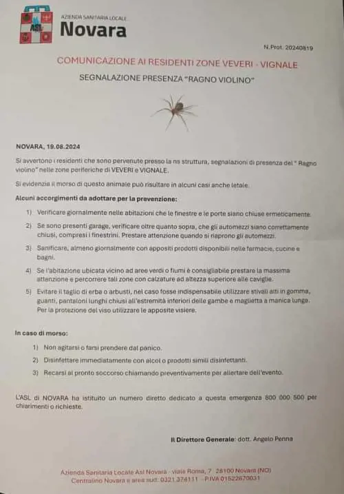 "Invasione di ragni violino a Novara": scatta l'allarme. Ma è tutto falso: cosa è successo