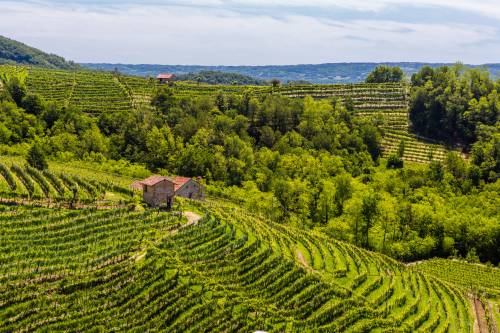 Le Colture, il nuovo racconto del Prosecco