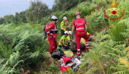 Beveva acqua piovana e parlava con una volpe: così l'88enne è sopravvissuta quattro giorni nei boschi 