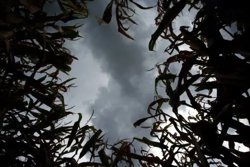 Crollo termico sull’Italia: di quanto si abbasseranno le temperature