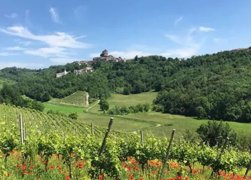 Vicara, il Monferrato rock