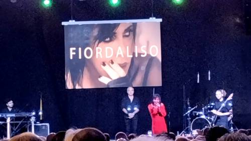 Paura al concerto di Fiordaliso, spunta un coltello: un ferito