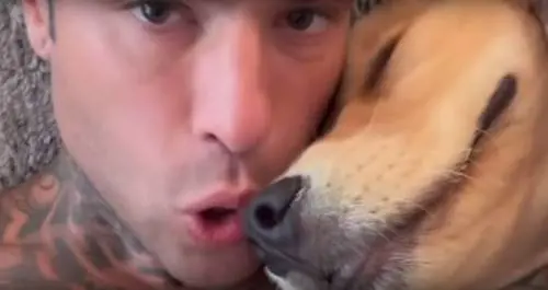 "Venezia? Silvio perfetto, ci vanno cani e porci". La frecciatina di Fedez a spasso con il cane